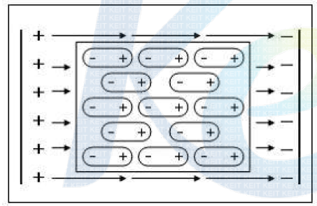 전기장내에서의 분자배열