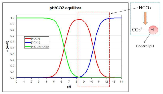 pH에 따른 CO₂ 이온 형태