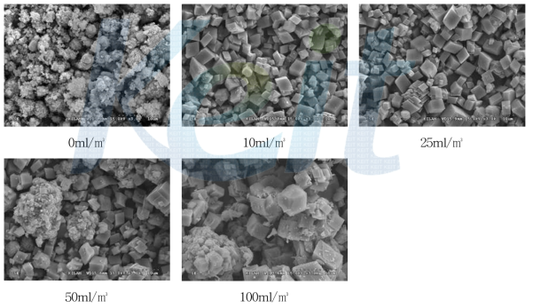 분산제 주입량별 정제용소석회로 생산된 탄산칼슘 SEM 사진
