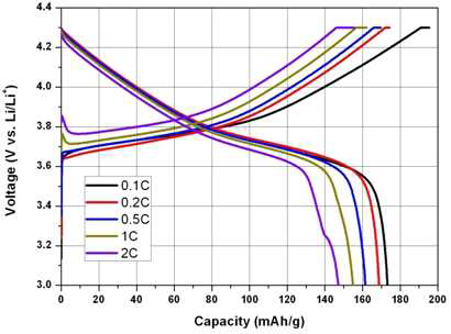 NCM계 양극활물질 고율특성 충방전 그래프