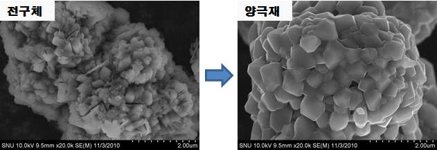 (주)E&D LMO 전구체 및 양극활물질 SEM image