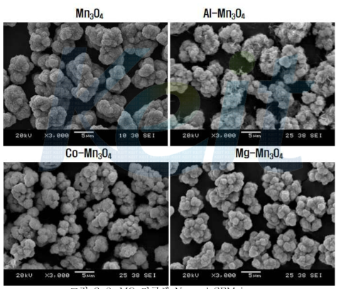 MO 전구체 Normal SEM image