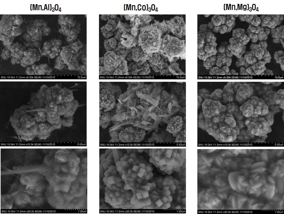 MO 전구체 FE-SEM image