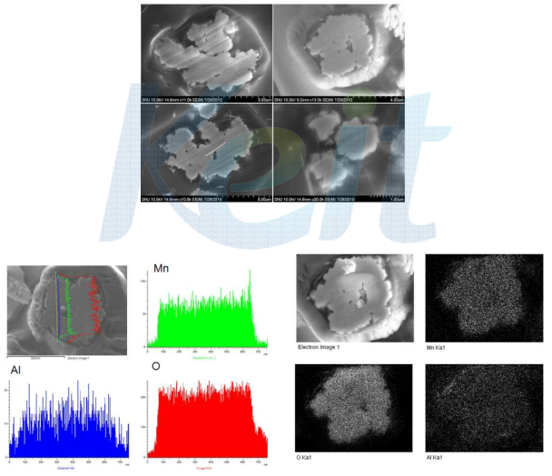 SEM-EDS Line Profile & image mapping 분석