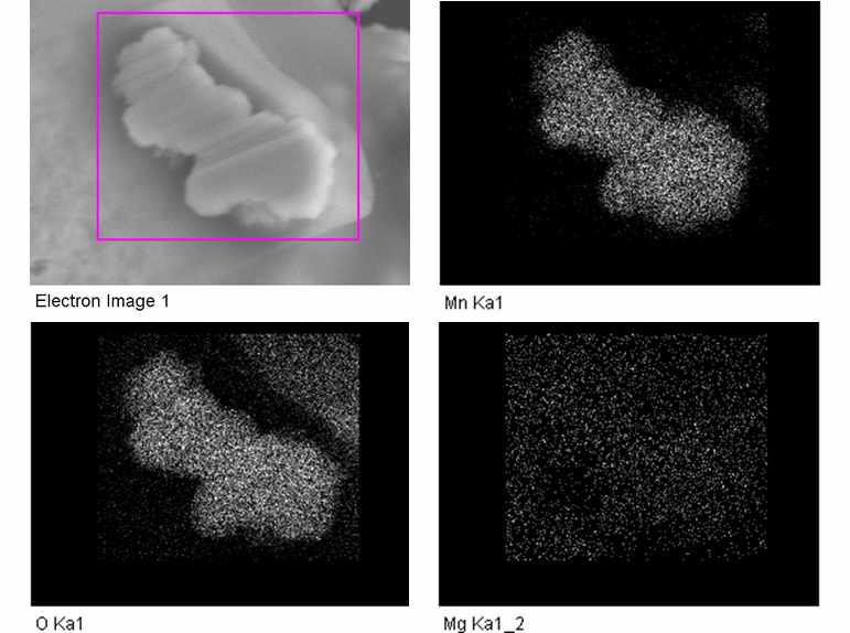 SEM-EDS image mapping 분석