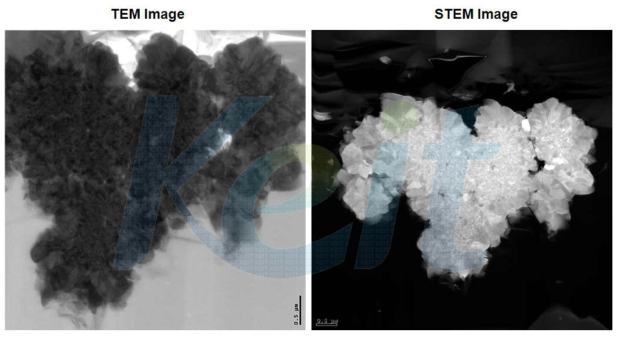 전구체 TEM image