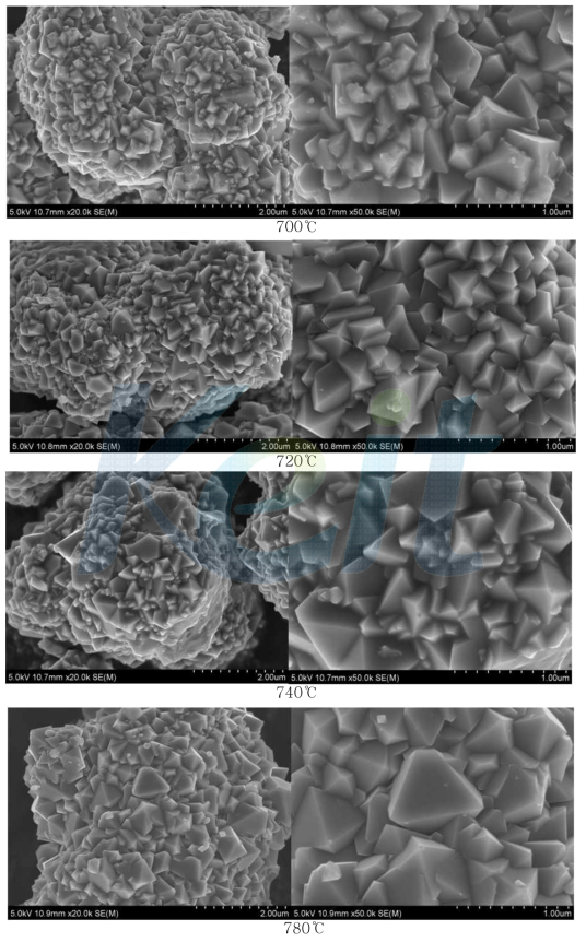 소성온도에 따른 SEM image