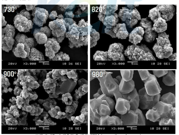 소성온도에 따른 SEM image (box furnace)