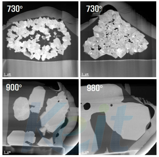 소성 온도에 따른 STEM 관찰