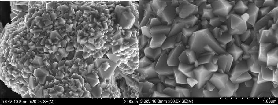 SEM image(분쇄 blade 개수: 1)