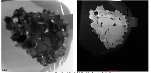 LMO 입자 미세구조