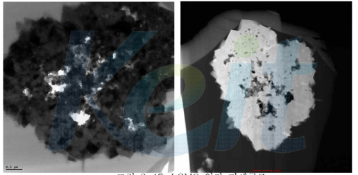 LCMO 입자 미세구조