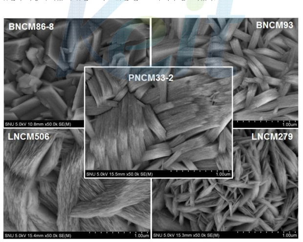 NCM, LNCM SEM image