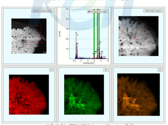 TEM-EDS Image Mapping 분석