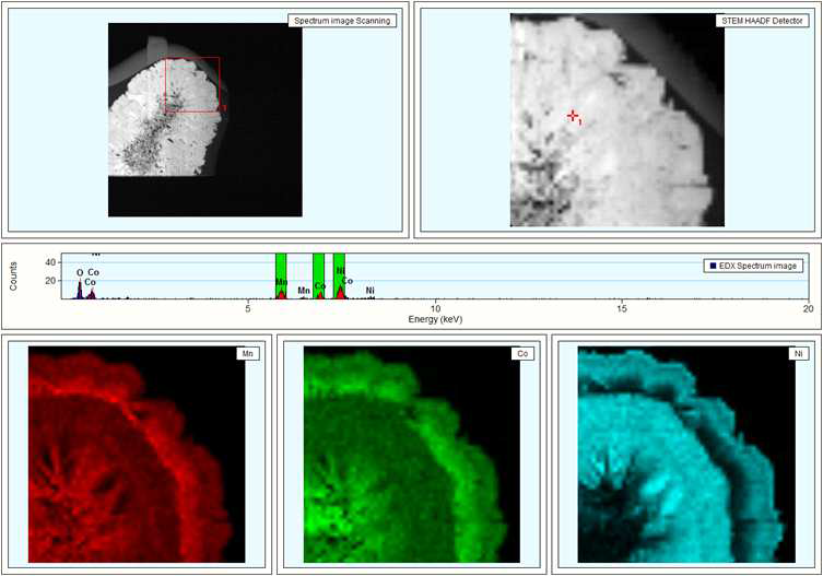 TEM-EDS Image Mapping 분석