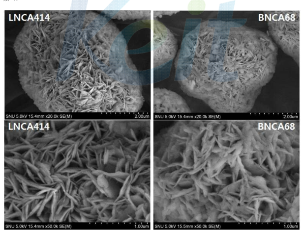 NCA, LNCA SEM image