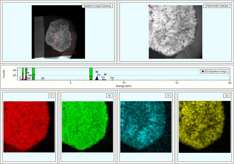 TEM-EDS Image Mapping 분석