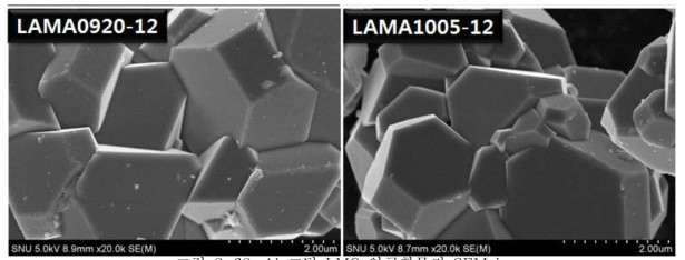 Al 코팅 LMO 양극활물질 SEM image