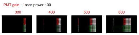 PMT gain의 변화에 의한 scanner calibration slide 스캔 이미지