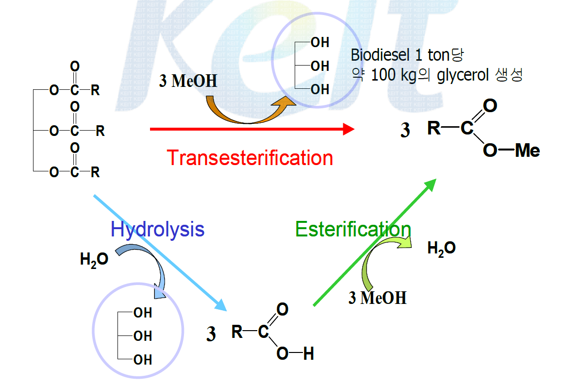 바이오디젤 생산 과정 및 글리세롤 부생성 과정 모식도