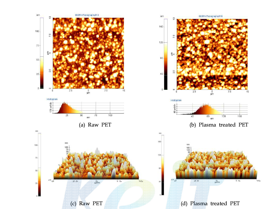 플라즈마 처리된 PET 표면의 모폴로지