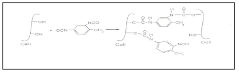 이소시아네이트 셀룰로오스(NCO-Cellulose) 반응 메카니즘