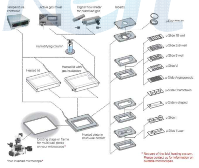 독일 IBIDI 社의 Incubator System