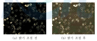 밝기 조절의 예