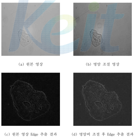 명암비 조절 과정