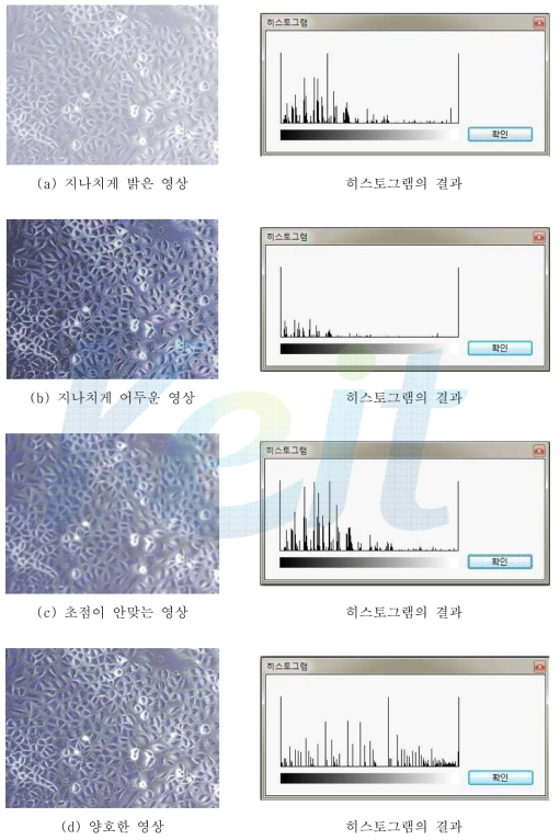 다양한 영상별 히스토그램의 결과