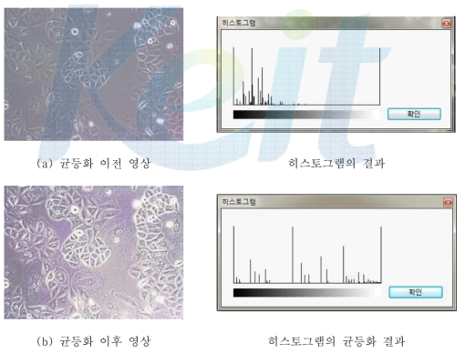 히스토그램의 균등화 기법의 적용