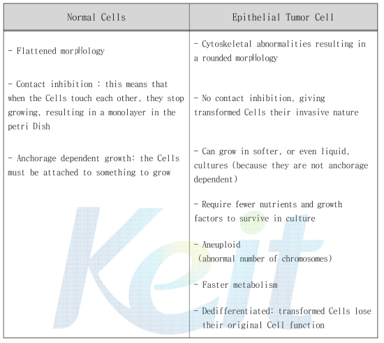 Epithelial Tumor Cell 과 Normal Cell을 판단하는 Criteria