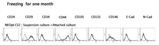 Primary Tumor Cell을 장기간 보관 후 FACS Analysis