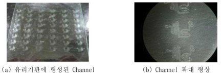 유리 기판에 형성된 Channel 형상