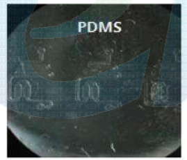 기판과 탈착된 PDMS 형상