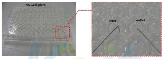 Multi Well Plate 에 PDMS 적층 후 입구와 출구