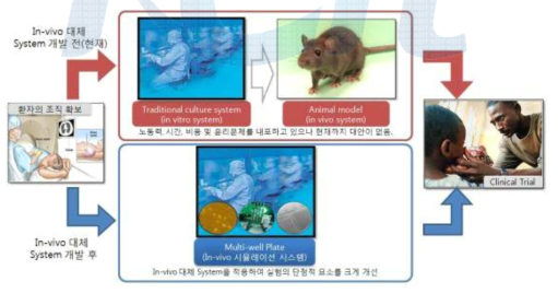 신약 개발 후보 물질 Screening System