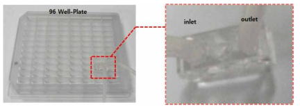 96 CPU와 96 Plate-Body 조립 후 의 배양액 Test