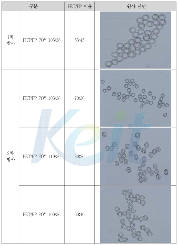 PET/PP Sheath/Core형 복합방사를 통한 POY 단면(실체현미경)