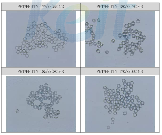 Draw Winder를 이용하여 제조한 PET/PP ITY 단면(실체현미경)