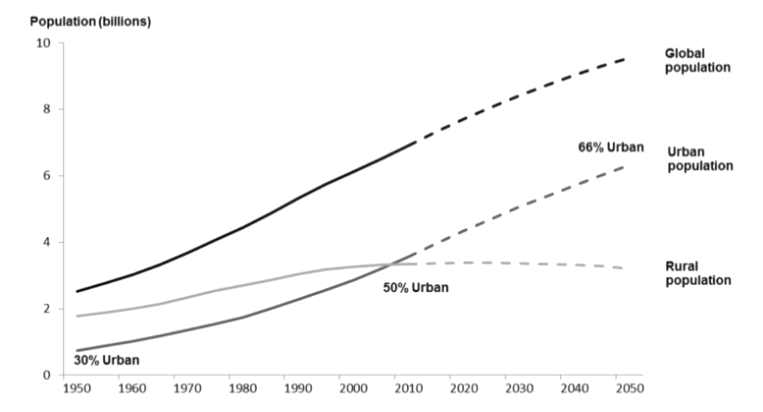 전세계 도시화 전망