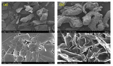 SEM photograph for ENG(expended natural graphite)