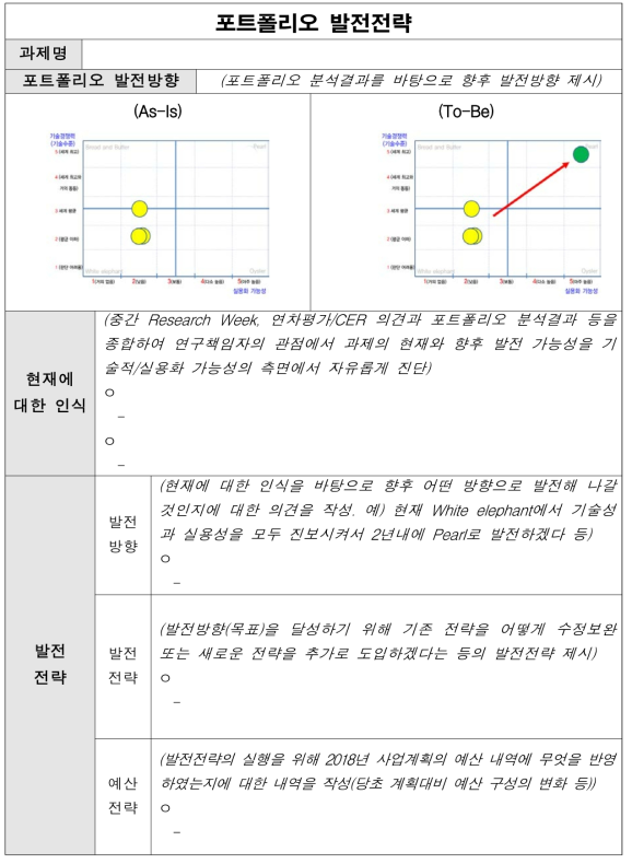 포트폴리오 발전전략 양식