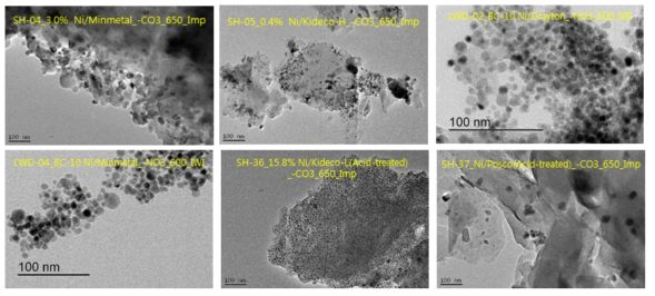 다양한 석탄에 분산된 Ni의 TEM image