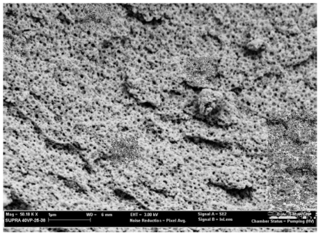 Structured zirconia 지지채 촉매인 10%Ni/ZrO2-porous의 SEM image