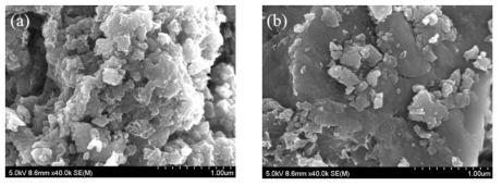 17.7 wt% Ni/Eco의 SEM image, (a) Area 1, (b) Area 2