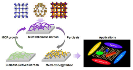 바이오매스 기반 탄소소재와 MOF 및 나노소재 융합 및 응용