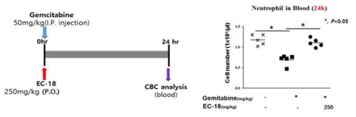 Gemcitabine 유발 호중구감소증에 대한 EC-18의 효능