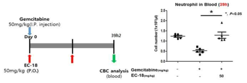 Gemcitabine 유발 호중구감소증에 대한 EC-18의 효능