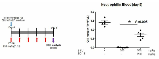 5-FU 유발 호중구감소증에 대한 EC-18의 효능